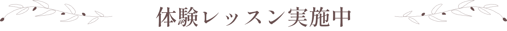 体験レッスン実施中